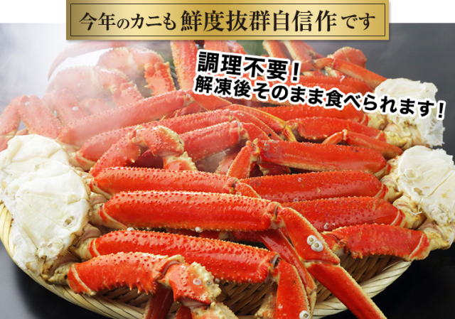 マンゴスチン様 冷凍ボイル 本ズワイガニ5入/3kg(600g×5) ボイル