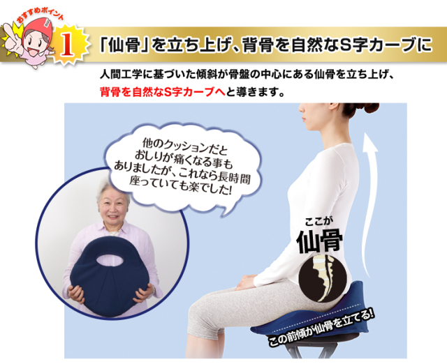 563 仙骨クッション 仙律