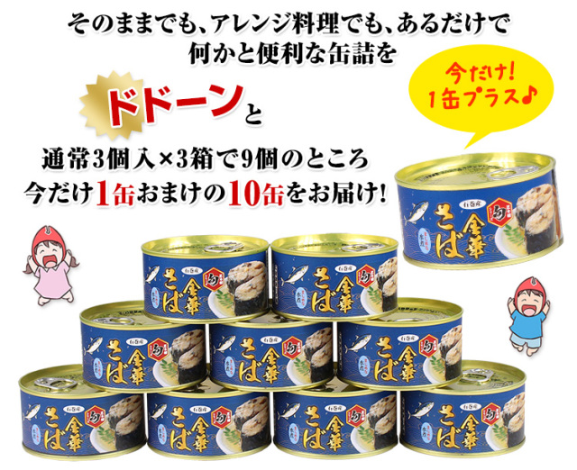 586：匠本舗【旬】シリーズ石巻産 金華さば水煮缶詰170g×10缶