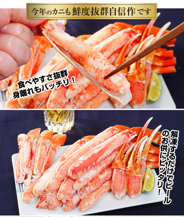 かに商品 Ninja ZX-12R【レース用】シングルシートカウル – A-TECH Online