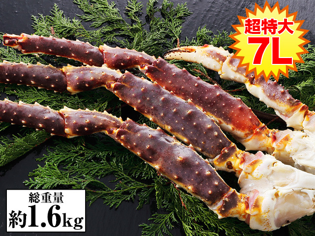 673：超特大7L生たらばがに肩脚1肩（総重量約1.6kg）