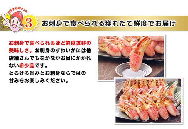 718：【刺身OK】特大7L～5L生ずわい爪むき身23～30本（総重量約1kg）