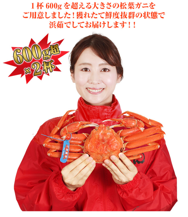 松葉がに 松葉ガニ Lサイズ(550〜650g) ボイル 良品 一匹 - かやの鮮魚店