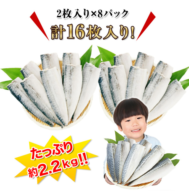 ソラノシバ様　まとめ買い 728S：【臭みが無くて食べやすい】骨取りノルウェー塩サバ約1.1kg