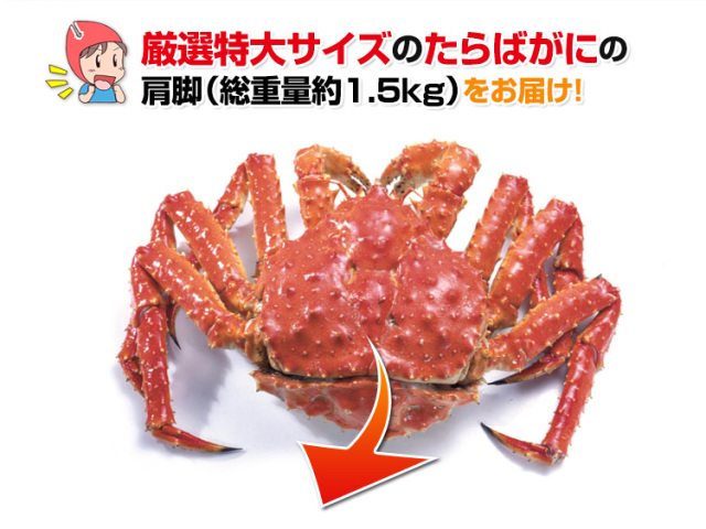 734：特大6Lボイルたらばがに肩脚1肩(総重量約1.5kg)