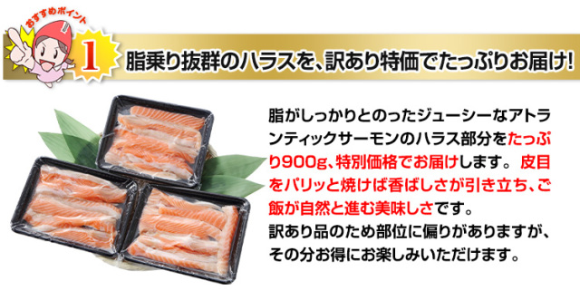 サーモン 送料込み】クズオグル トルコ産トラウトサーモン トリムC（皮