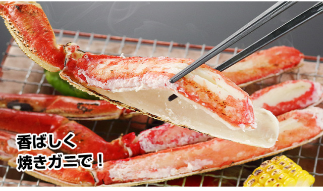 ボイル松葉蟹究極セット！くるん 757：超特大プレミアム10Lボイルずわい半むき身セット 2kg超（総