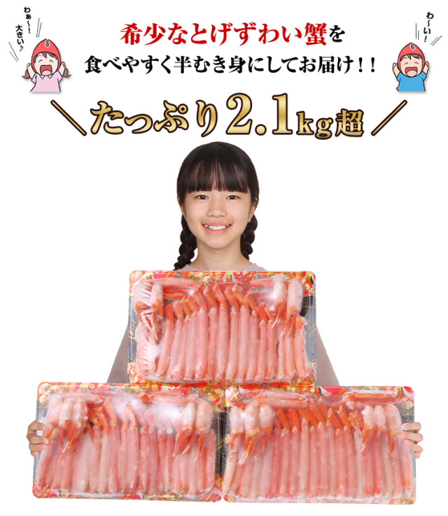 刺身可】 生とげずわい満足セット2.1kg超（総重量約2.5kg）