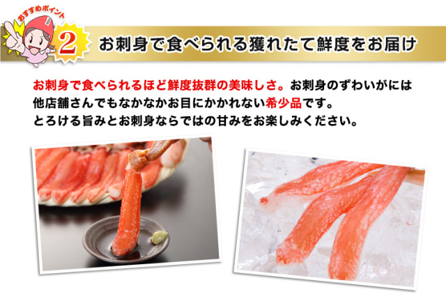 746：【刺身可】生ずわい脚爪むき身 約1.3kg