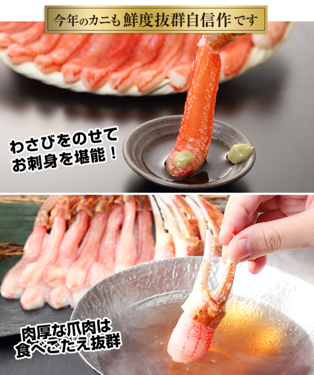 746：【刺身可】生ずわい脚爪むき身 約1.3kg