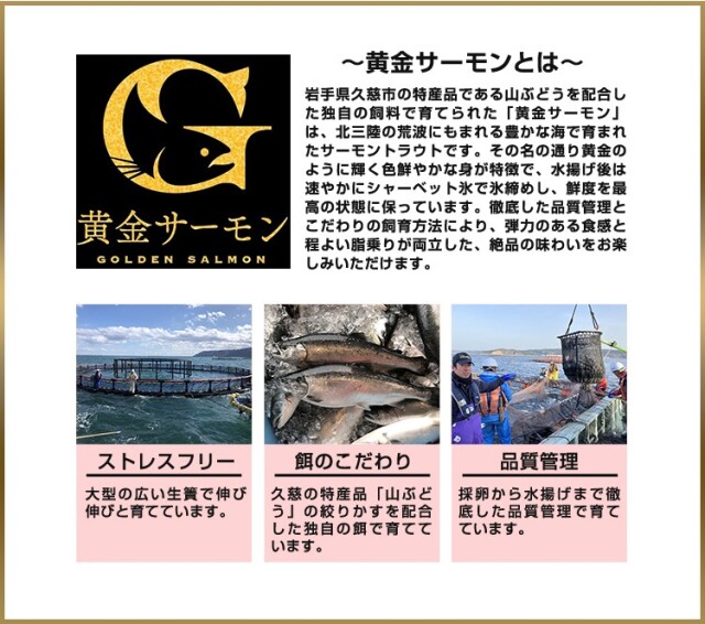 751：岩手県久慈産 黄金サーモン約400g(3P入り)