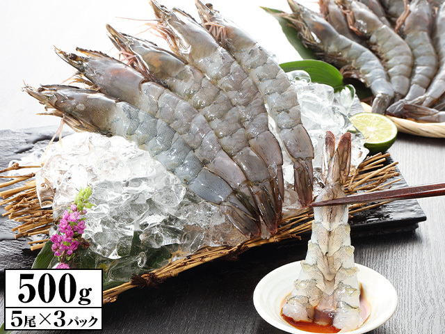 752:【刺身用】鮮度極生えび500g（5尾×3P）