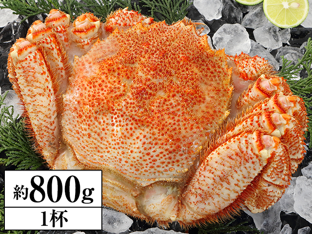 769：特大 北海道浜茹で毛がに姿1杯(約800g)