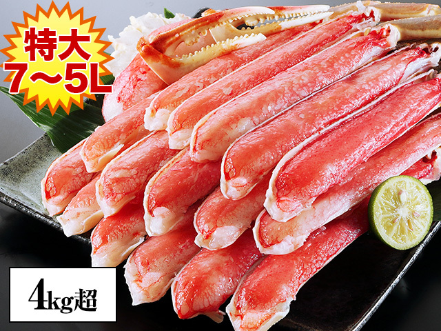 専用出品　蟹様 お刺身OK！特大3L～4L超☆生本ズワイガニ総重量3kg「かにしゃぶ