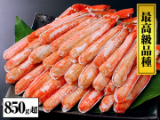389_thum.jpg