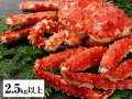 664_thum.jpg