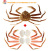 474w_thum_05.jpg
