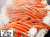 525_thum3.jpg
