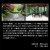 617_26thum05.jpg
