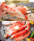 723_shizuru1_02.jpg