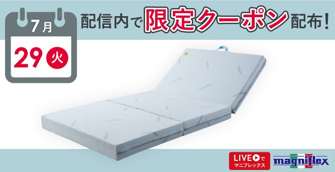 マニフレックス　三つ折り　D Dウィング　magniflex 布団　マットレス magniflex マニフレックス DDウイング シングル 三つ折り 敷き