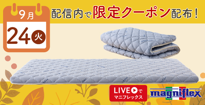 マニフレックス　イタリアン　ダブルサイズ　高反発マットレス マニフレックス イタリアン ダブルサイズ 高反発マットレス Magniflex