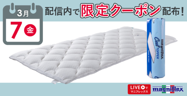 マニフレックス ヴィロブロック トッパー ダブル 美品（VIROBLOCK 