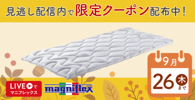 Ruruページ ネイルチップ やわらか透明感ニュアンスのネイルチップ(258 - ネイルチップ