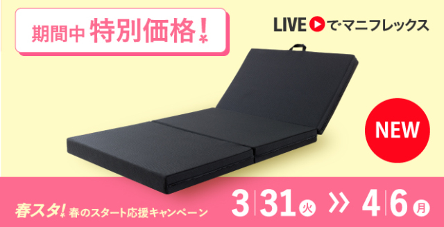 【限定販売】サステナブルウィングBLACK