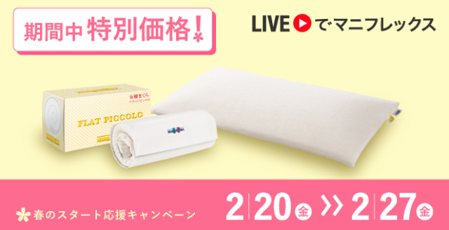 【女優まくら】フラットピッコロ(トラベルロール付き)