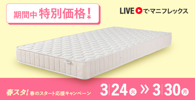 モデル 246(ニット生地)