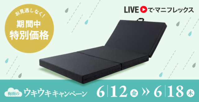 【限定販売】サステナブルウィングBLACK