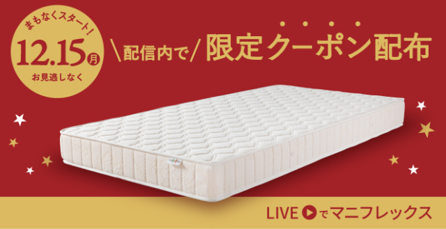 モデル 246(ニット生地)【ポイントアップ中】