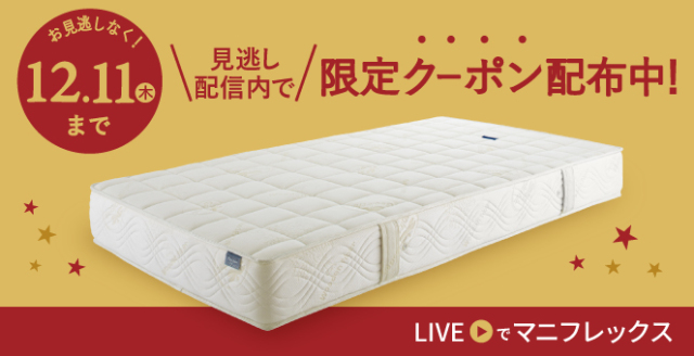 フラッグ・FX【ポイントアップ中】