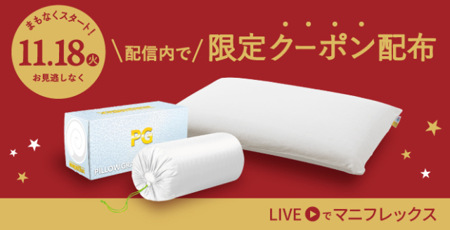 ピロー グランデ(キャリーホルダー付き)【ポイントアップ中】