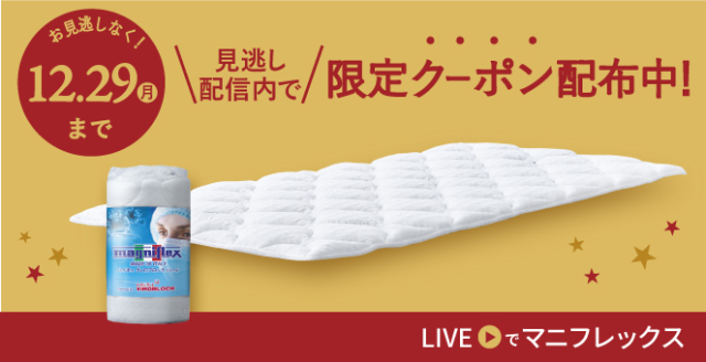 抗菌・抗ウィルスHEIQ VIROBLOCKトッパー - マニフレックス公式オンライン