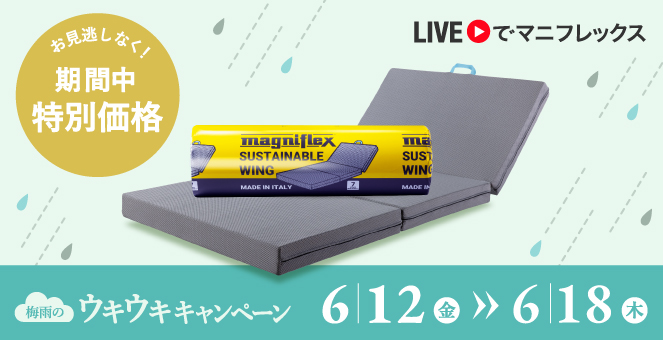 サステナブルウィング