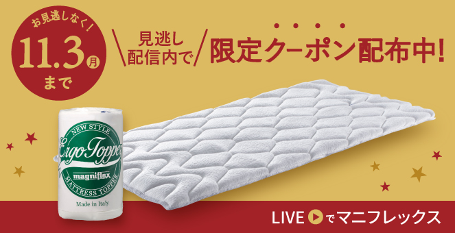 magniflex マニフレックス　エルゴトッパー　セミダブル 4月15日購入 magniflex マニフレックス エルゴトッパー セミダブル （送料