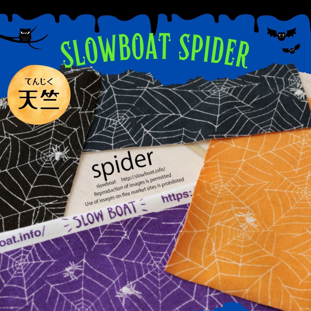 天竺 スパイダー
