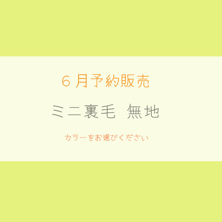 【2026/6月予約販売価格】ミニ裏毛 無地