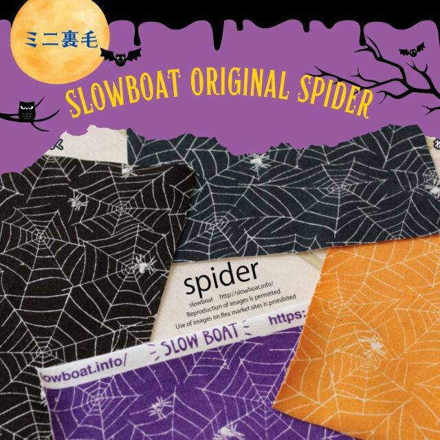 スパイダー