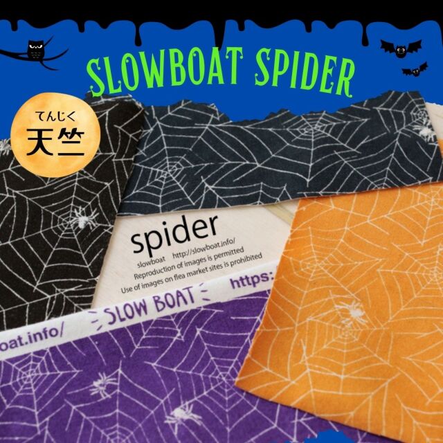 天竺 スパイダー