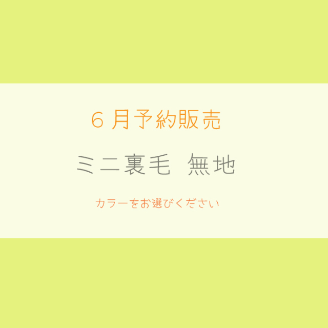 【2026/6月予約販売価格】ミニ裏毛 無地
