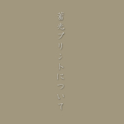 蓄光