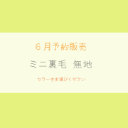 【2026/6月予約販売価格】ミニ裏毛 無地