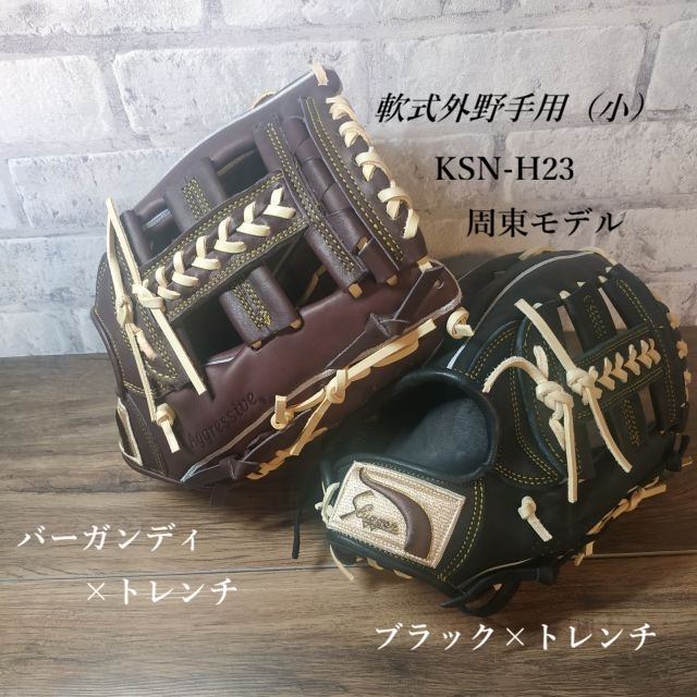 KSN-H23