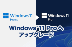 【Type:YOU】日笠陽子さん14インチA、15.6インチAモデル Windows11 Proカスタマイズ