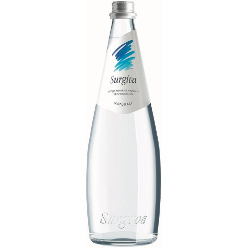 スルジーヴァ ミネラルウォーター ナチュラル 500ml×20個