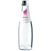 スルジーヴァ ミネラルウォーター スパークリング 250ml×24個
