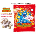 Mr.ブラバー フィジーボンボンバッグ 100g×20個